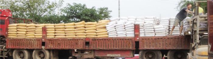 更多資訊 塑膠托盤與塑料周轉箱生產廠家